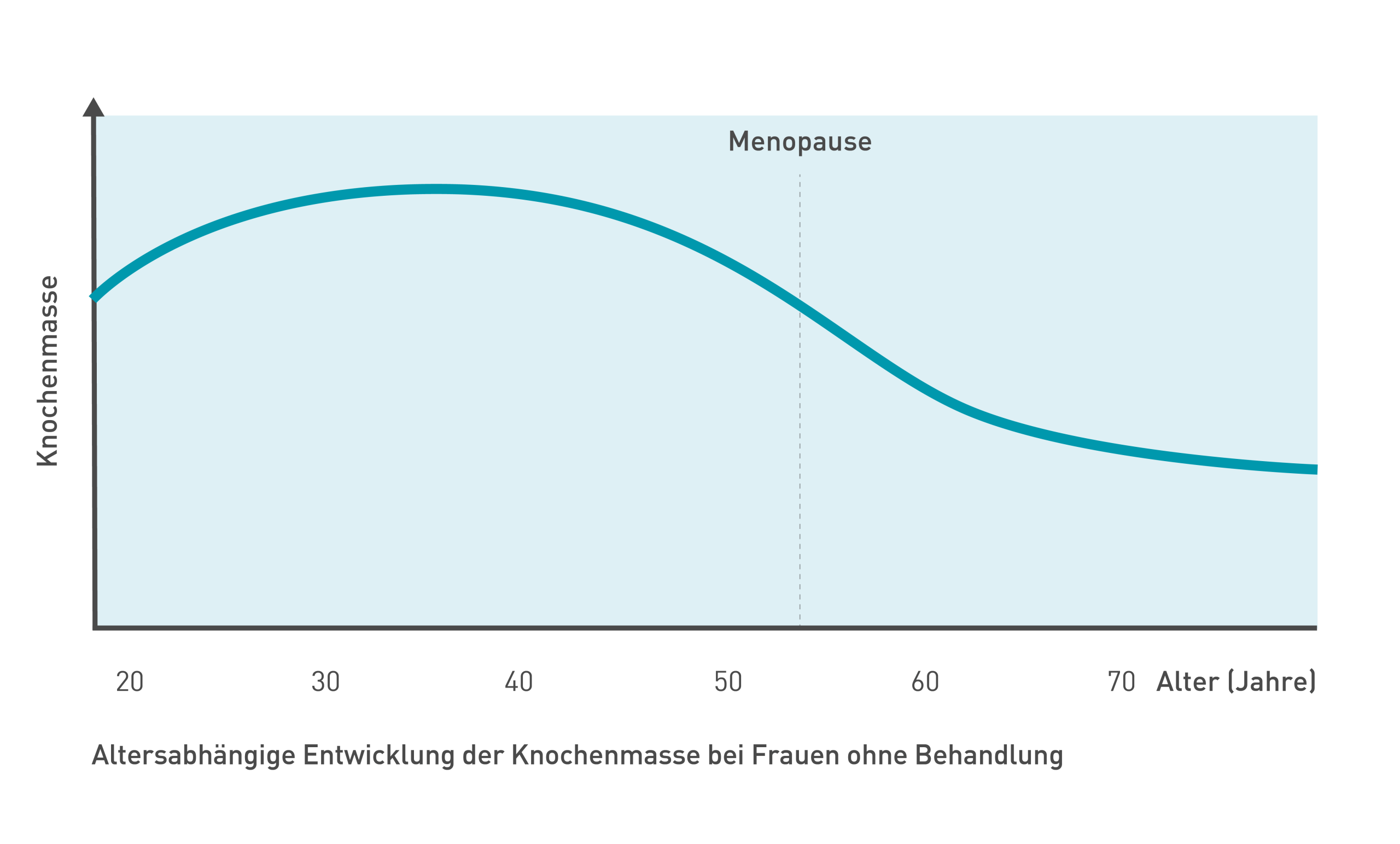 wechseljahre-verstehen.de | Entwicklung der Knochenmasse