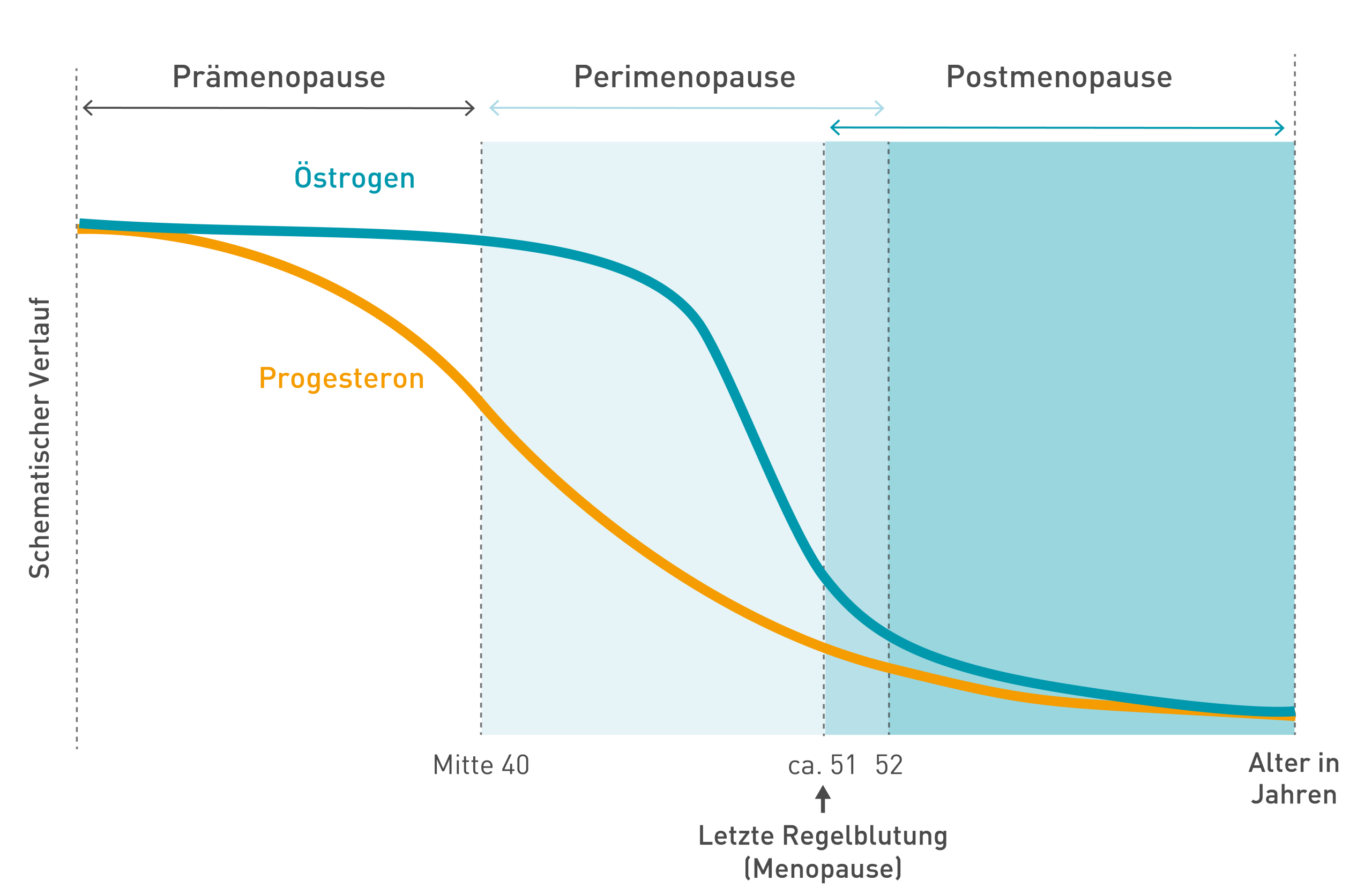 wechseljahre-verstehen.de | Hormonelle Veränderungen während der Wechseljahre – Vergleich der Verlaufskurven von Östrogen- und Progesteronkonzentration